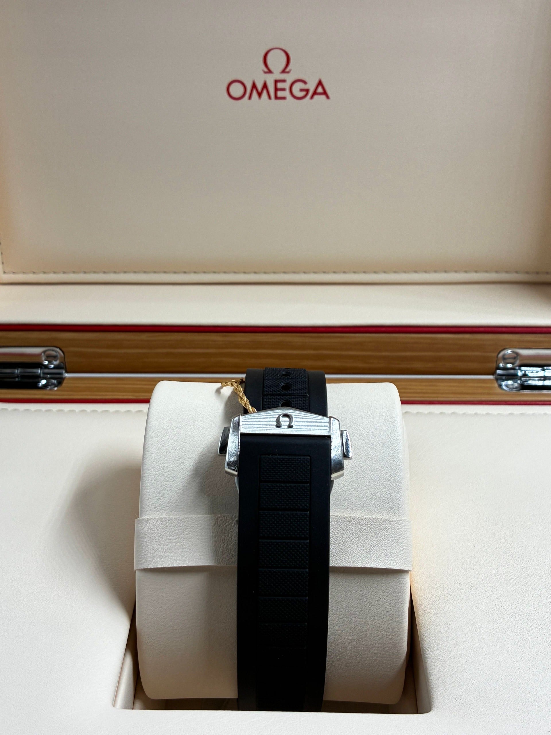 Omega Seamaster Planet Ocean 600M 217.32.42.21.01.001