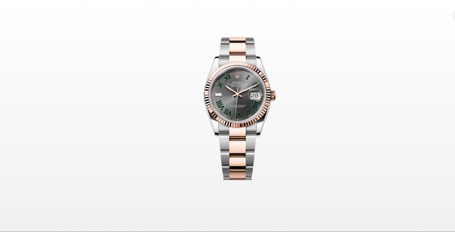 Rolex Datejust 36 126231 Wim Oyster 2025