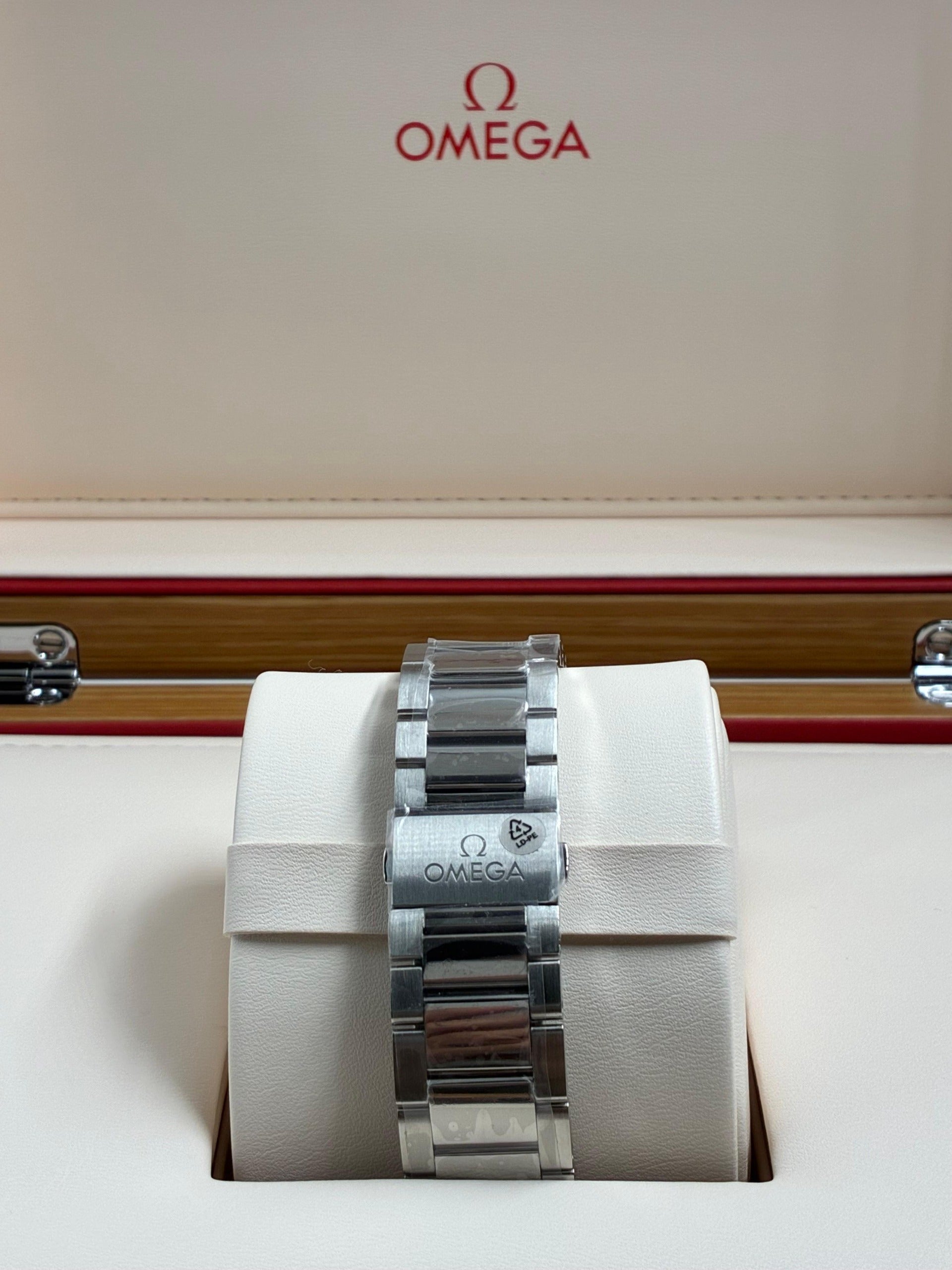 OMEGA Seamaster Aqua Terra 220.10.41.21.10.001
