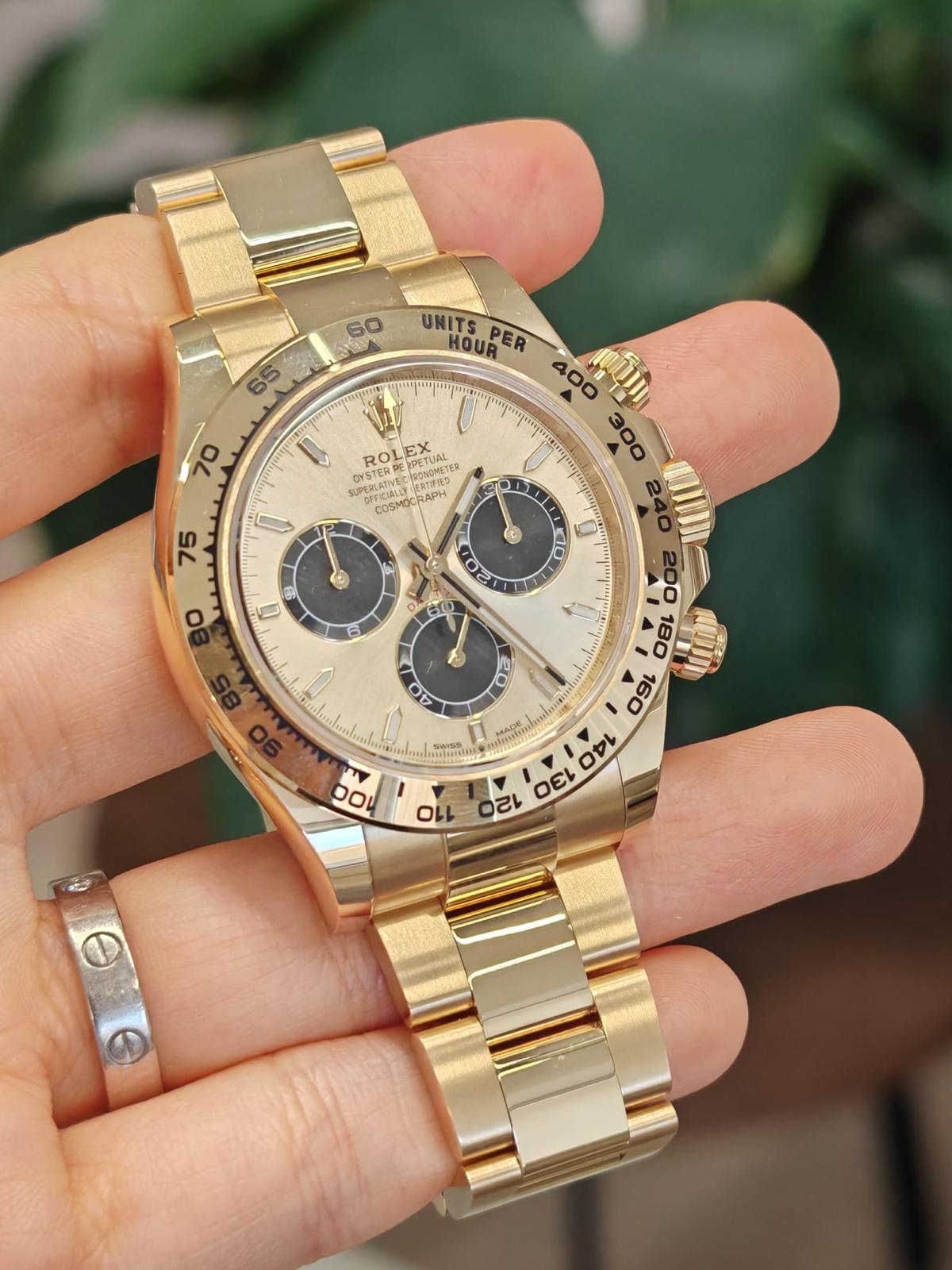 Rolex Cosmograph Daytona 126508 Golden and bright black