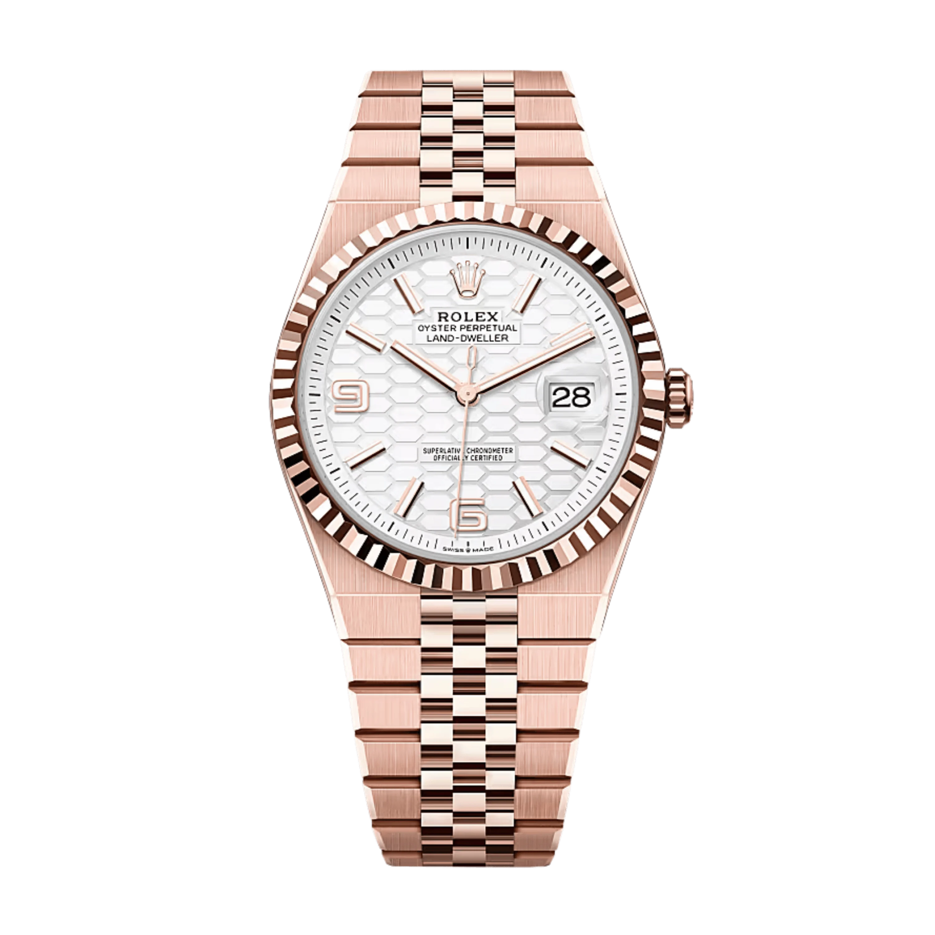 Rolex Land-Dweller 36 127235 White