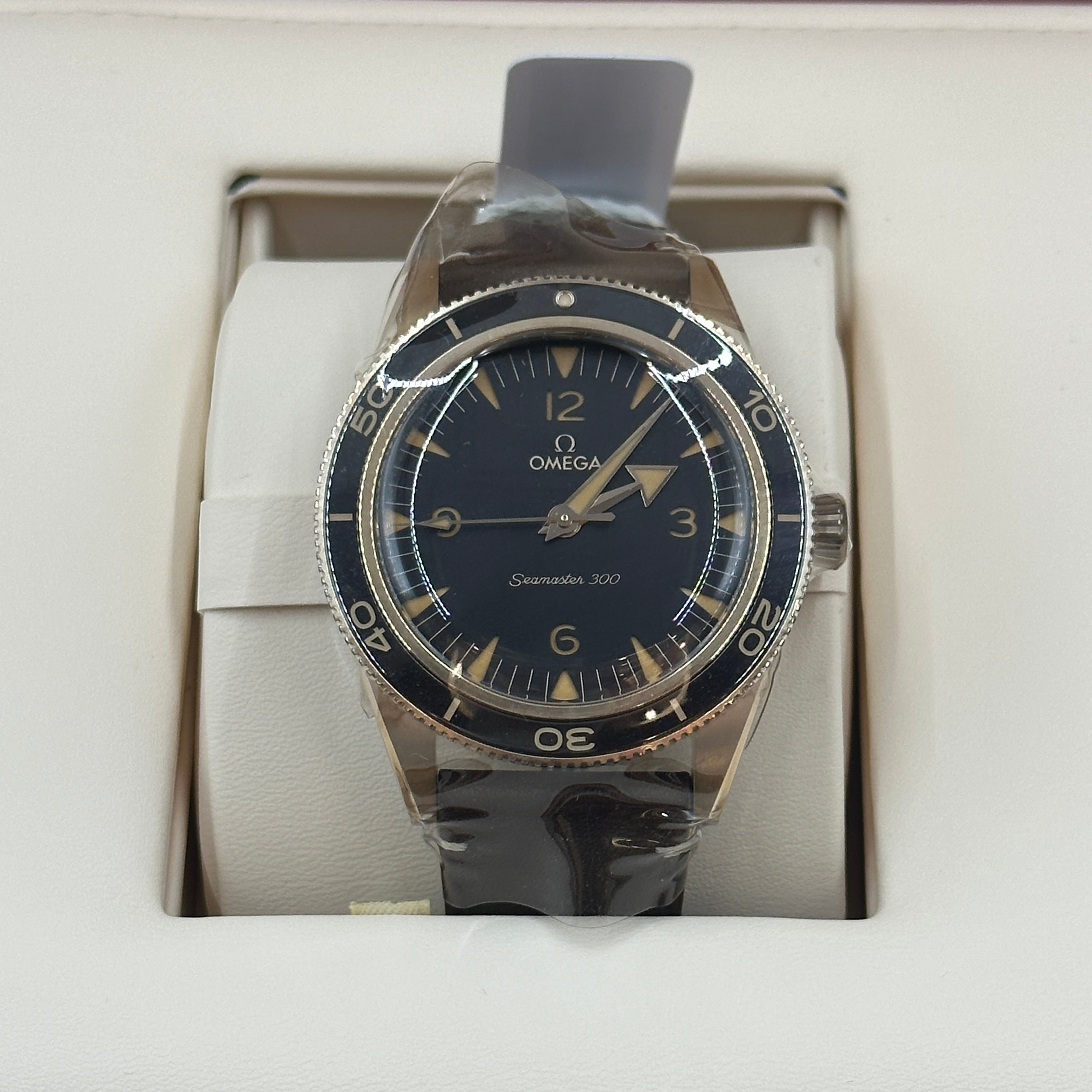 Omega Seamaster 300 Co-Axial Master Chronometer 41 MM 234.92.41.21.10.001