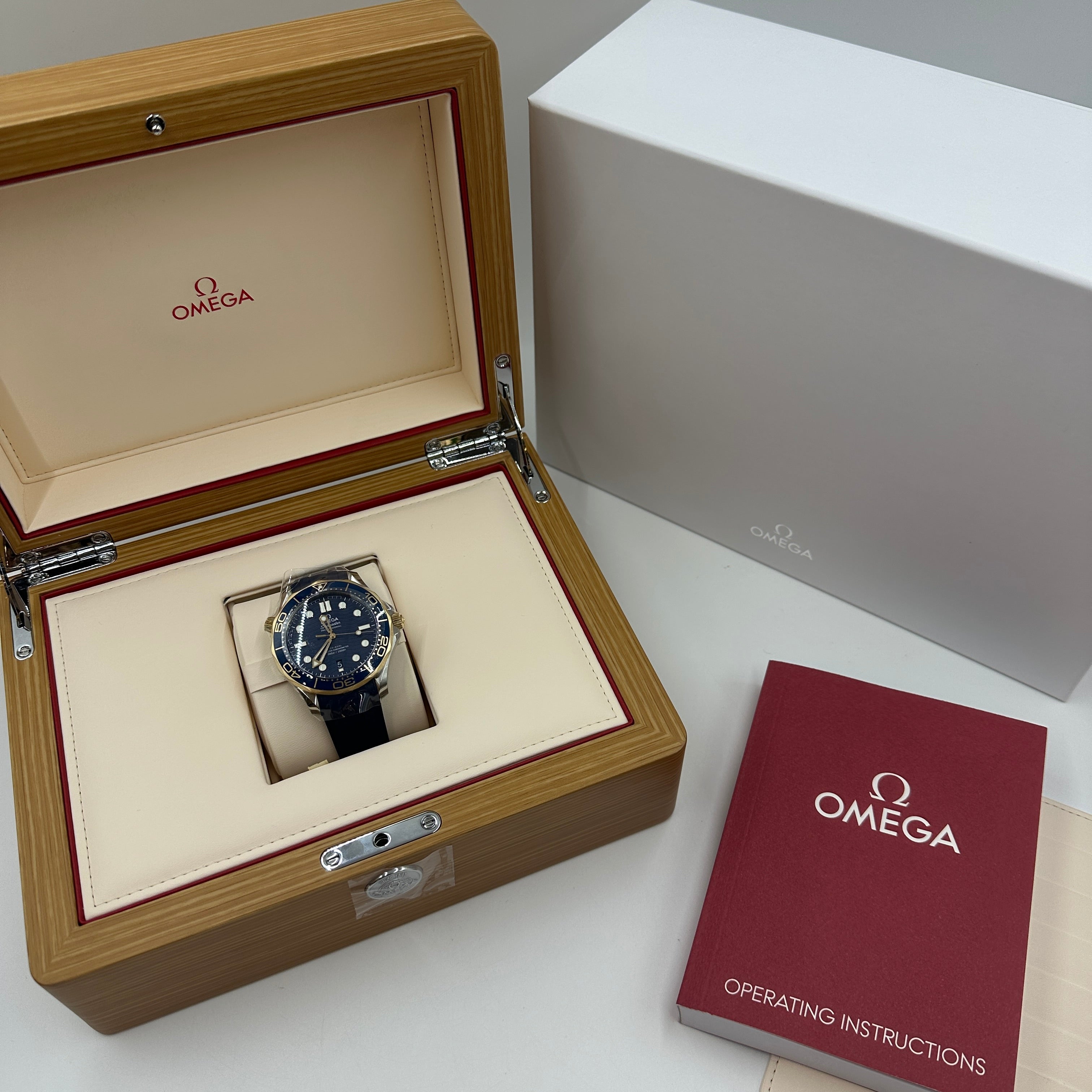 Omega Seamaster Planet Ocean 210.22.42.20.03.002 2026