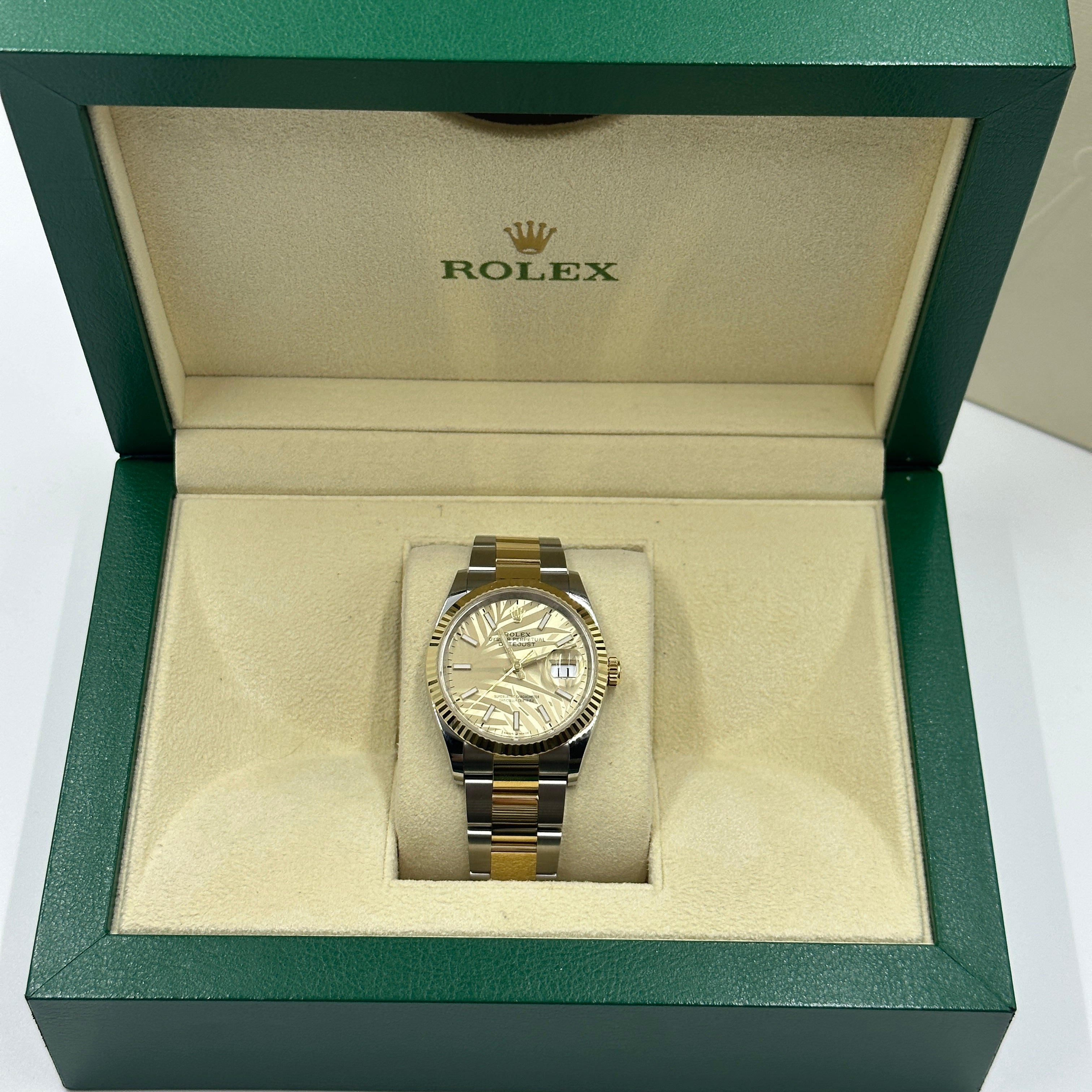 Rolex Datejust 36 126233 Champ Palm Oyster 2024