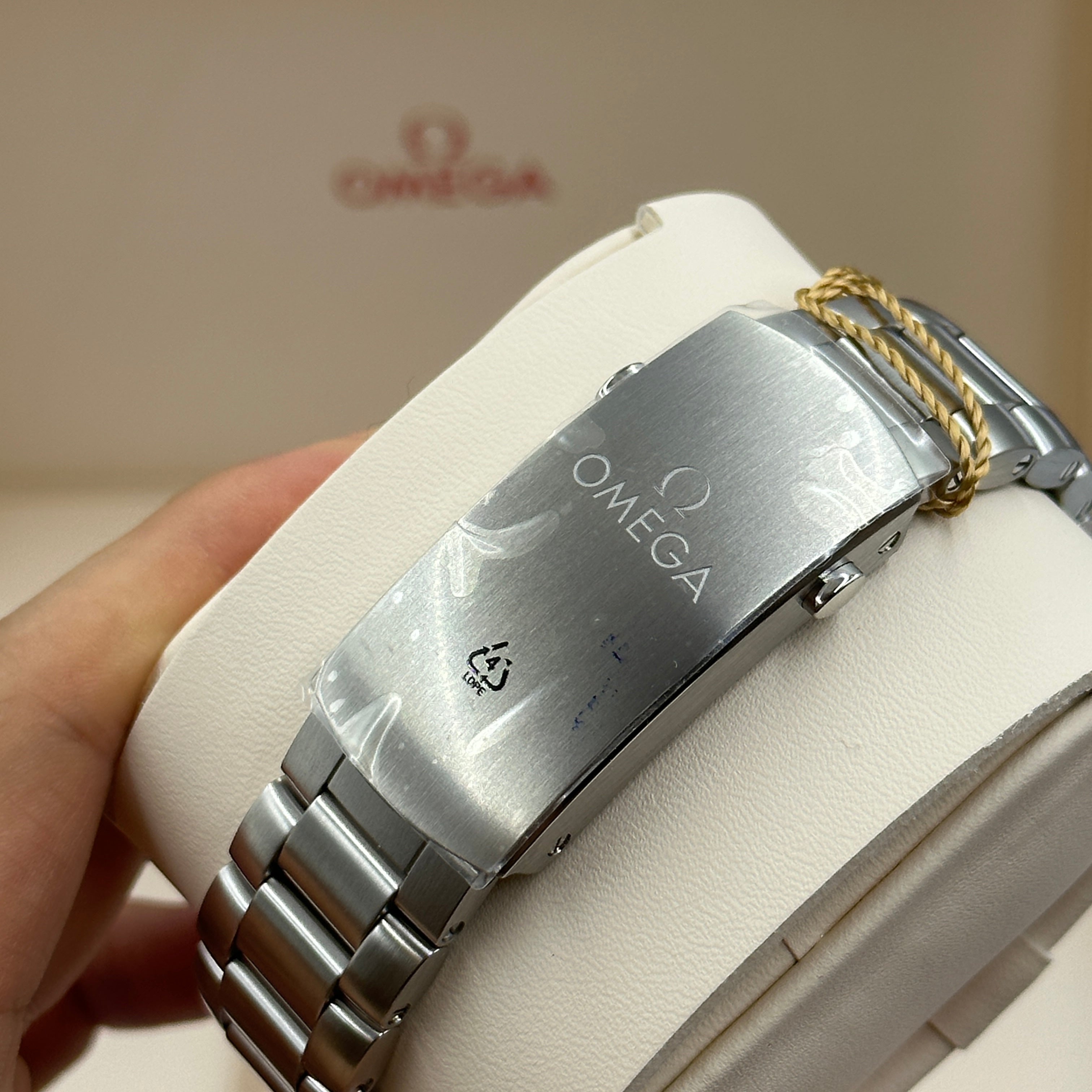 Omega Seamaster Planet Ocean 600M