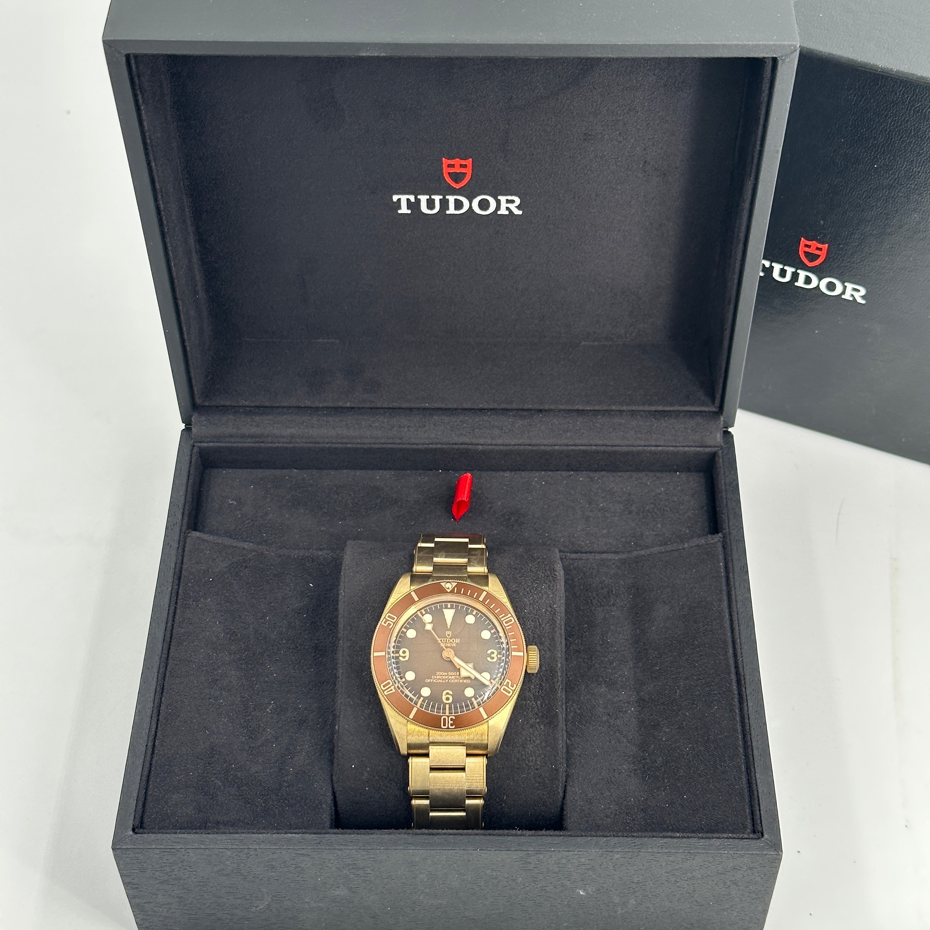 Tudor Black Bay 79012M-0001 Bronze