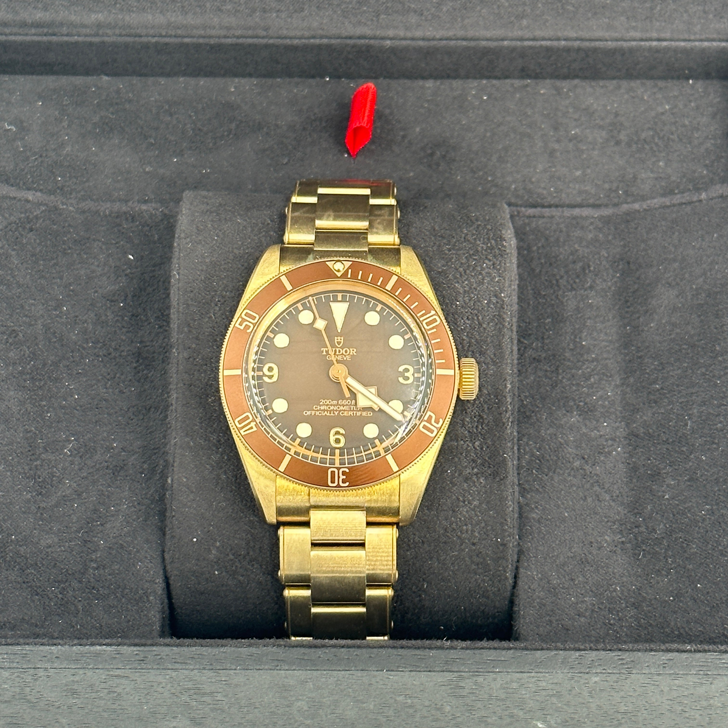 Tudor Black Bay 79012M-0001 Bronze