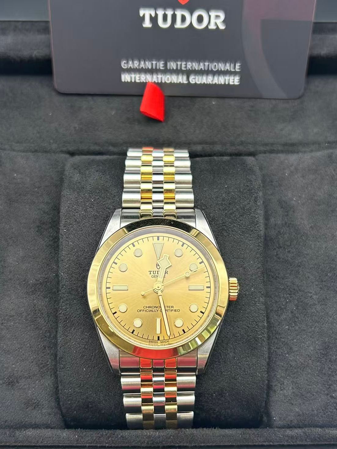 Tudor Black Bay 39 S&G M79663-0005