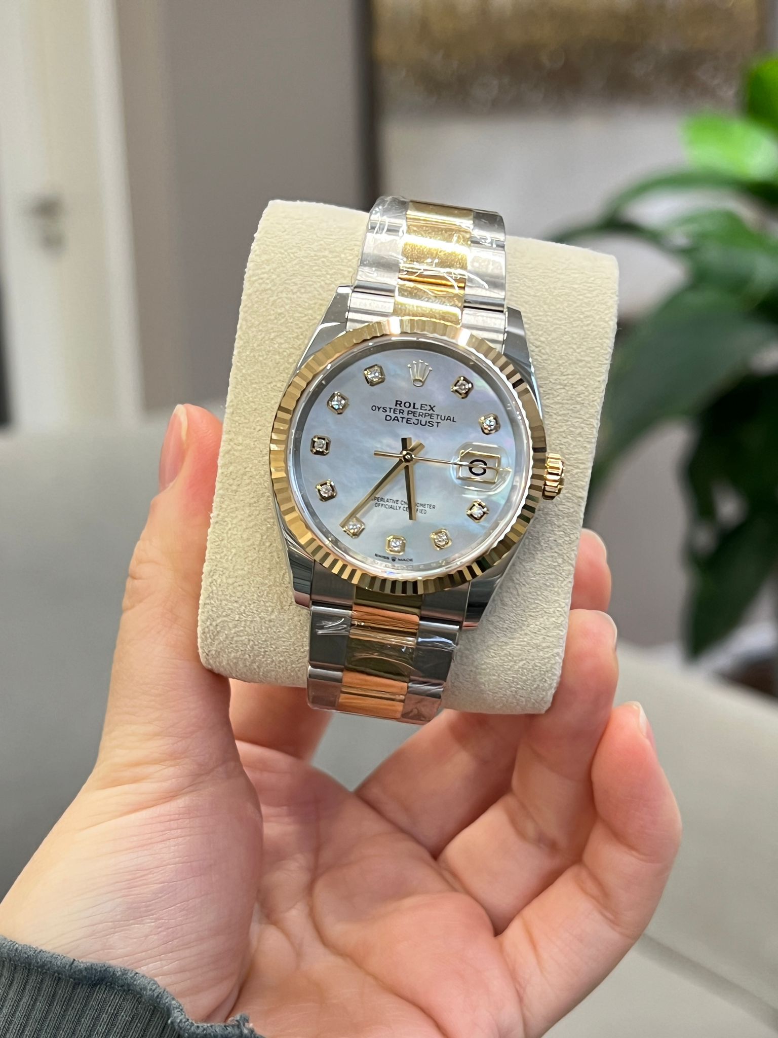 Rolex Datejust 36 126233Ng White Oyster 2025