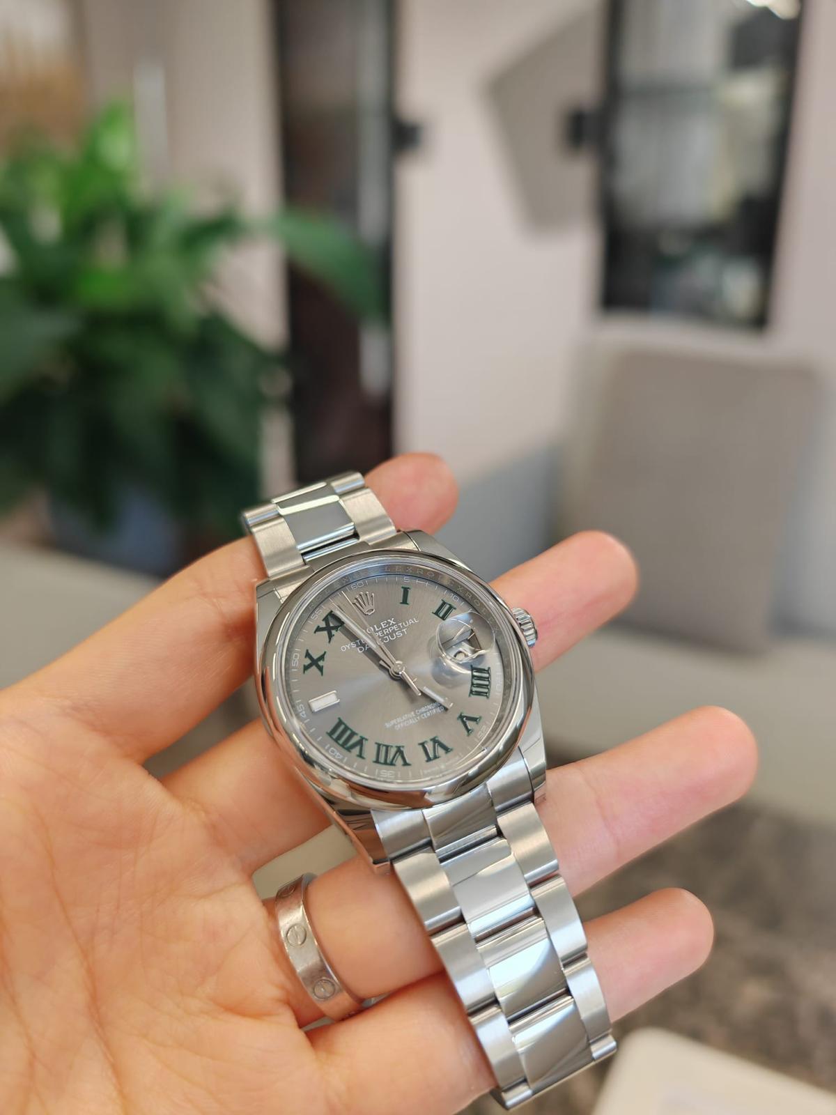 Rolex Datejust 36 126200 Wim Oyster 2024