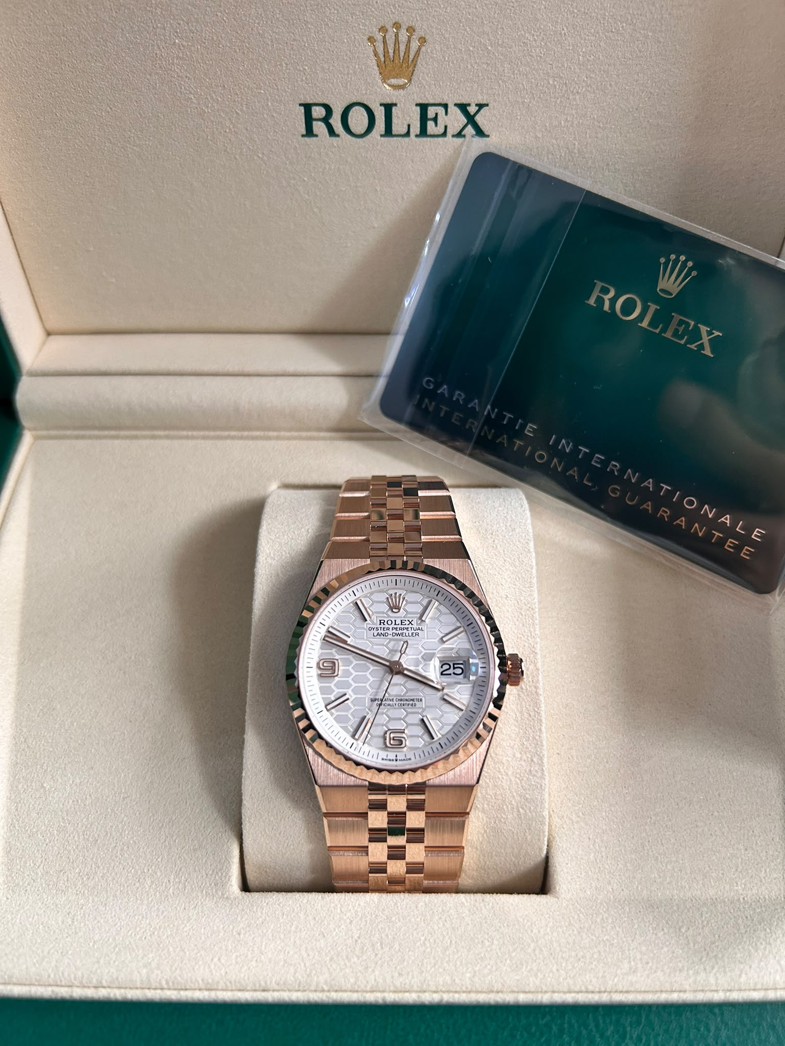 Rolex Land-Dweller 36 127235 White 2025