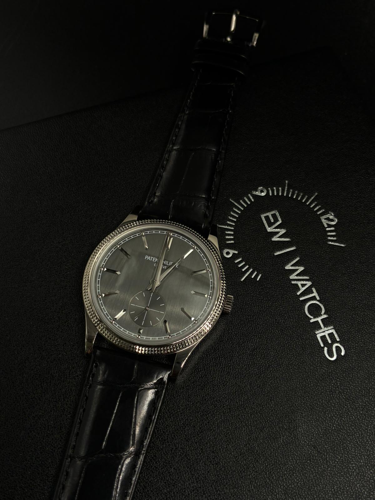 Patek Philippe Calatrava 6119G-001 Gray 2025