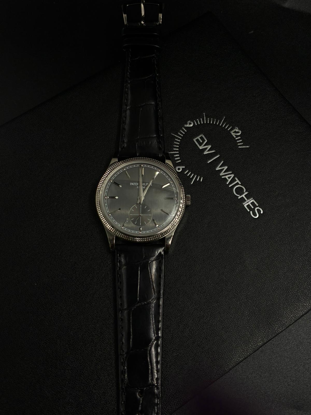 Patek Philippe Calatrava 6119G-001 Gray 2025
