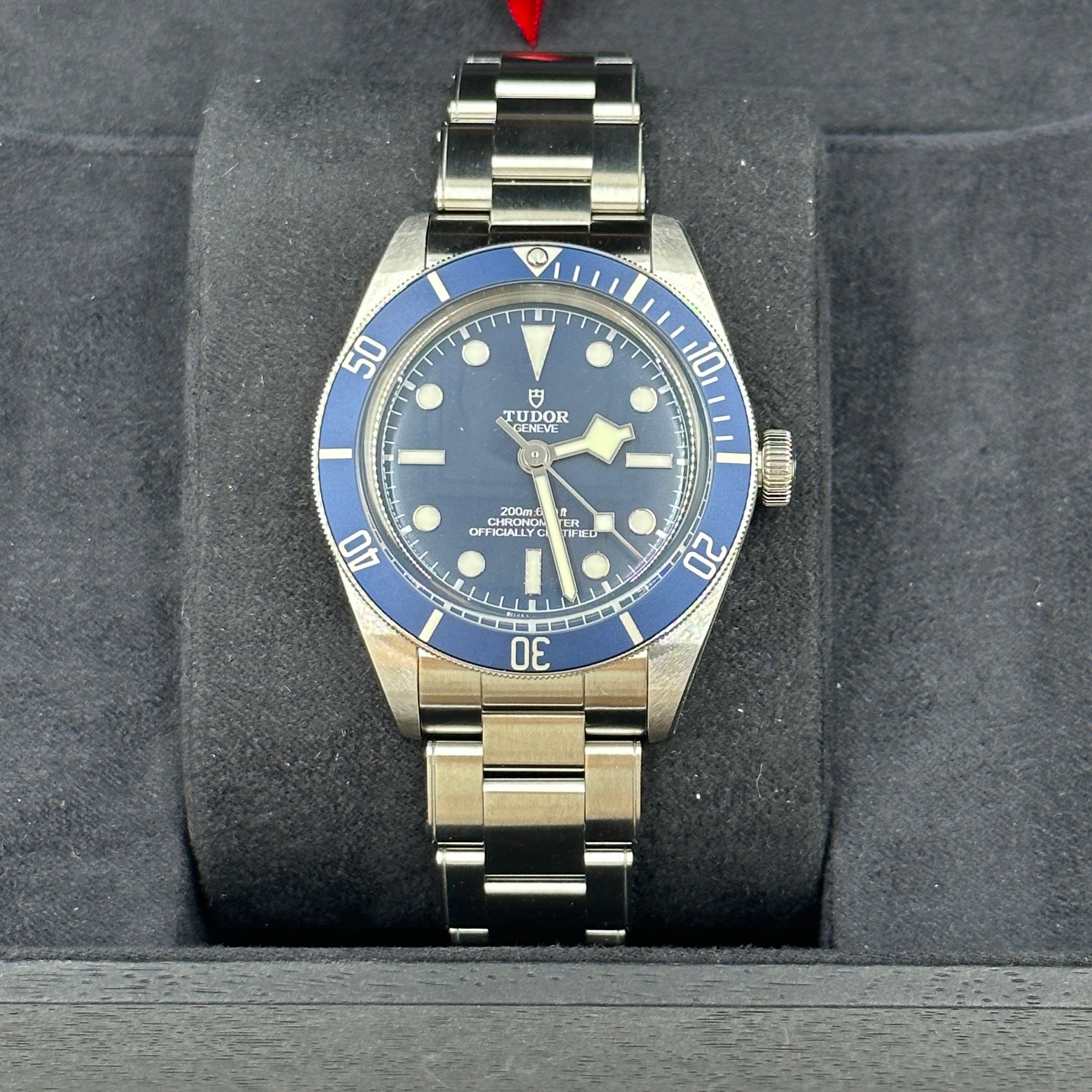 Tudor Black Bay 58 39mm 79030B-0001 Blue Steel 2025 – EW Watches