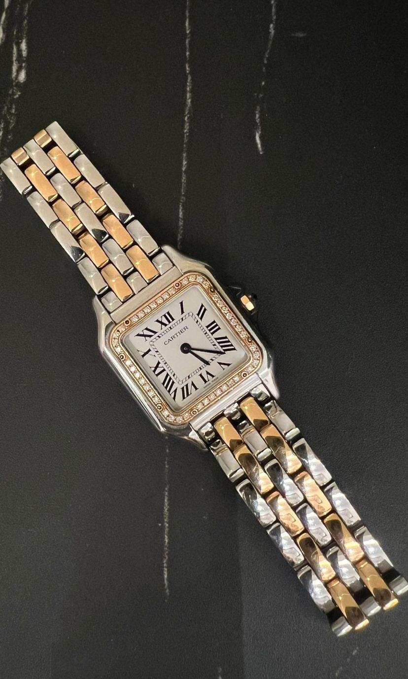 Cartier Panthère W3pn0015 2026