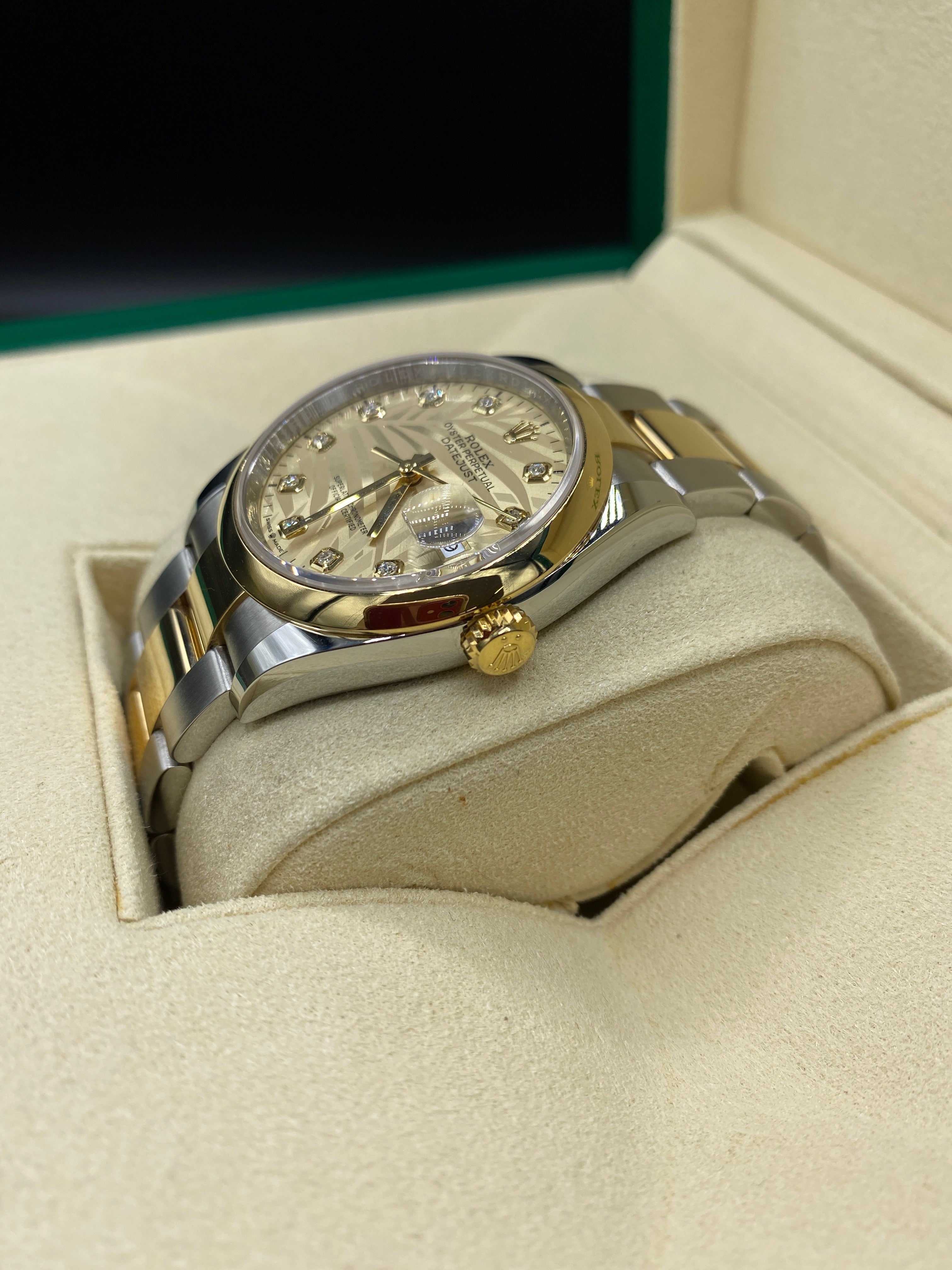 Rolex Datejust 36 126203G Champ Palm Oyster 2024