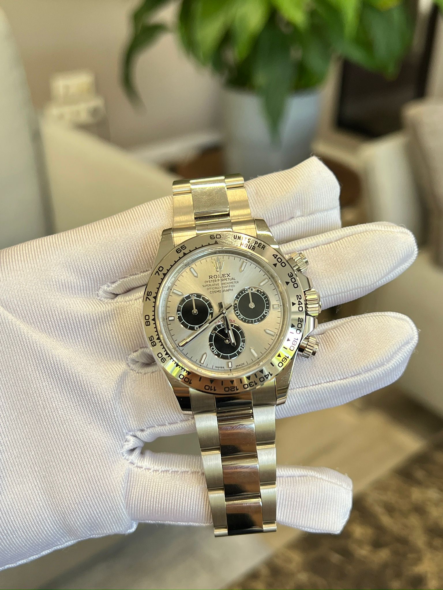 Rolex Cosmograph Daytona 126509 Grey 2025