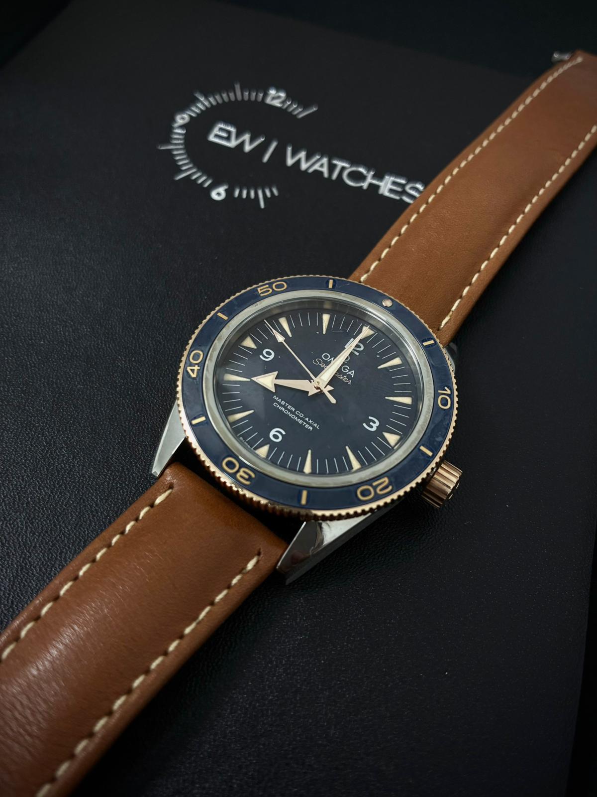 Omega Seamaster 300 Master Chronometer 41 MM 233.62.41.21.03.001 2025