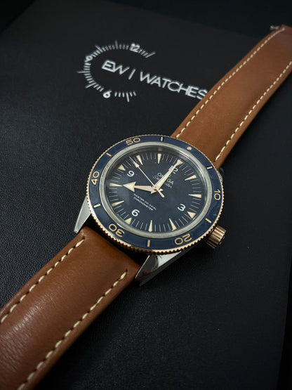 Omega Seamaster 300 Master Chronometer 41 MM 233.62.41.21.03.001 2025