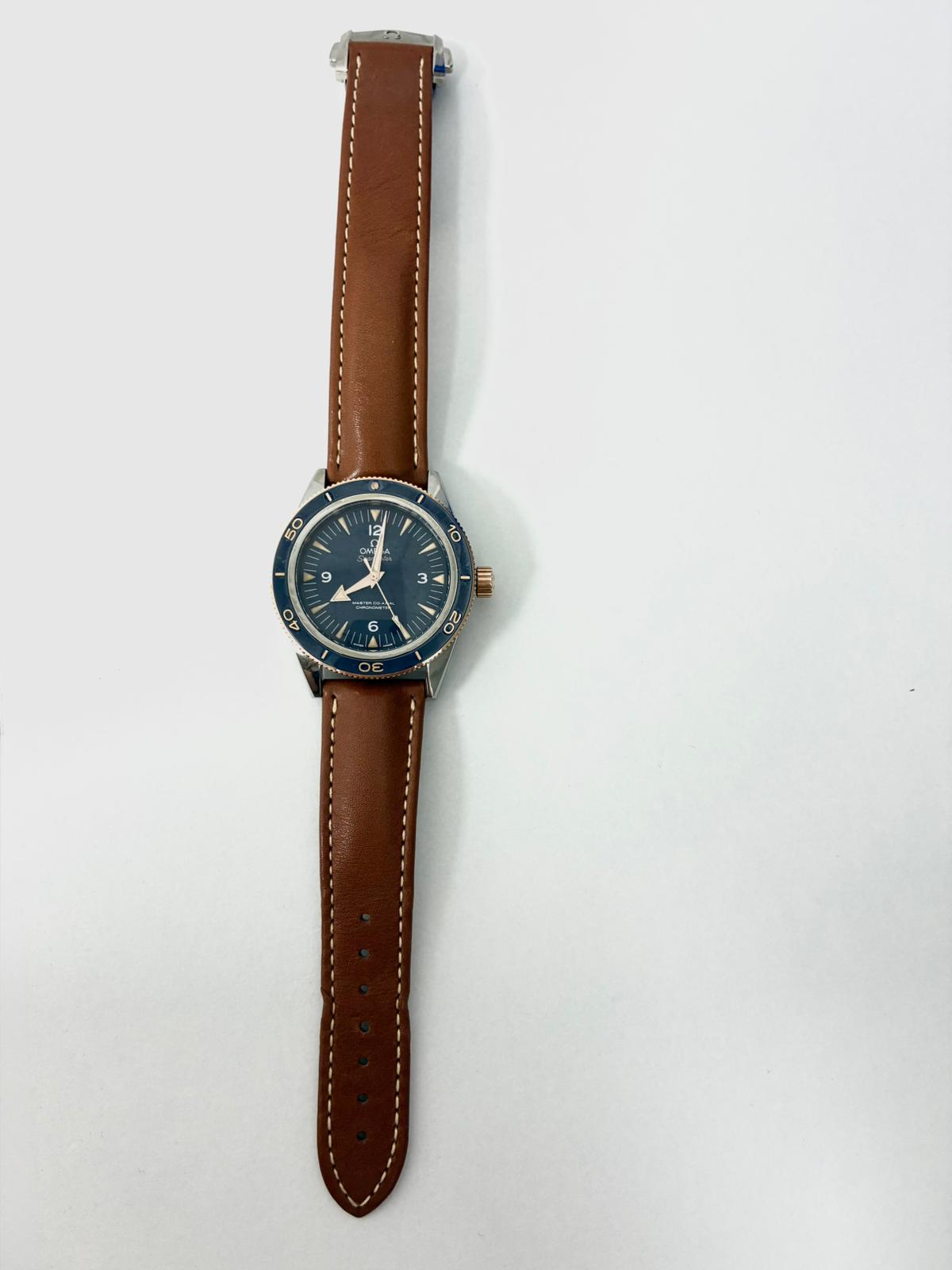 Omega Seamaster 300 Master Chronometer 41 MM 233.62.41.21.03.001 2025