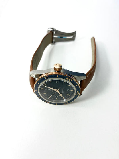 Omega Seamaster 300 Master Chronometer 41 MM 233.62.41.21.03.001 2025