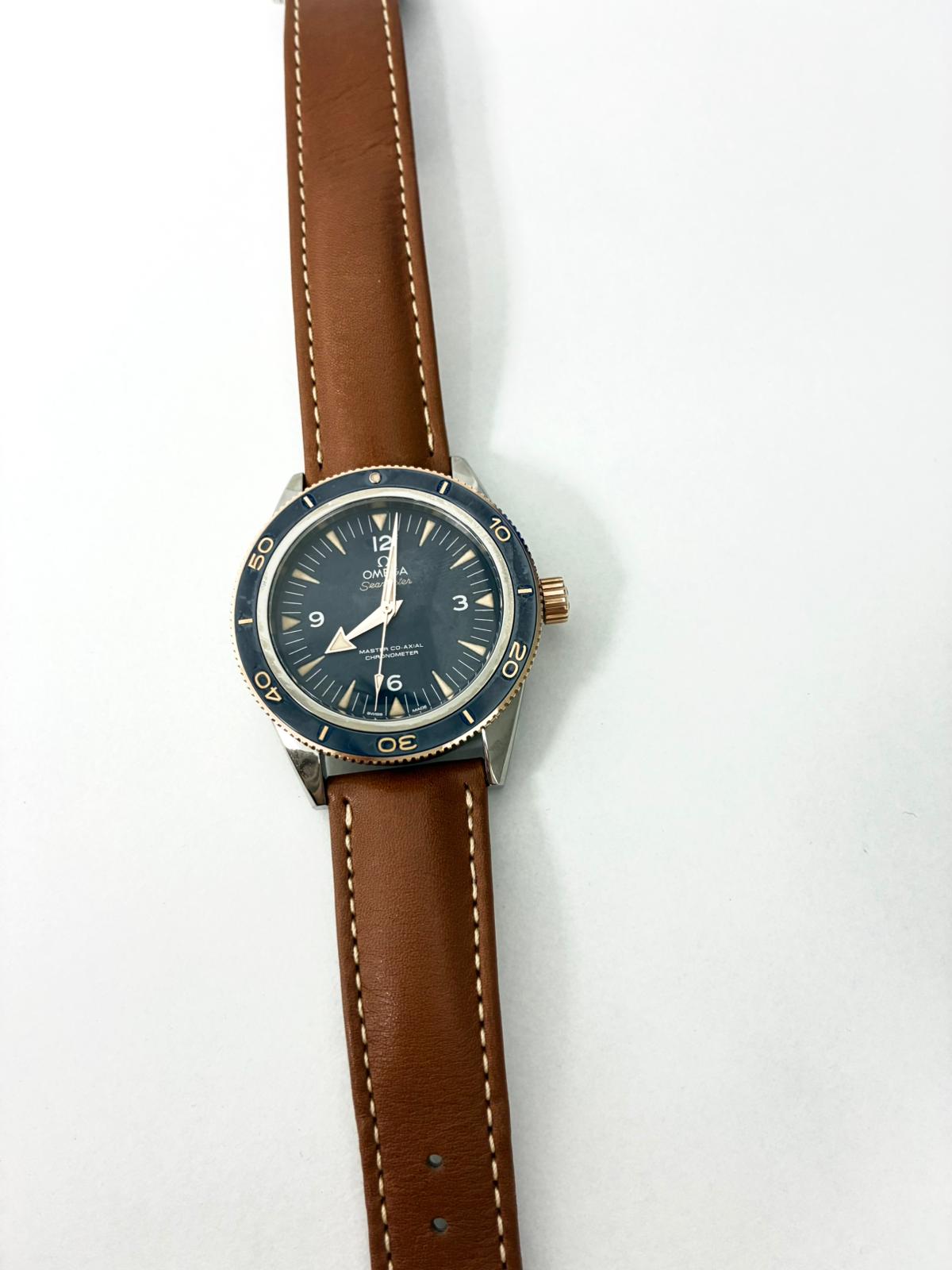 Omega Seamaster 300 Master Chronometer 41 MM 233.62.41.21.03.001 2025