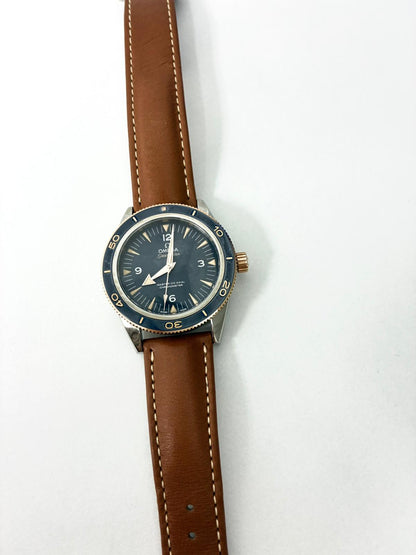 Omega Seamaster 300 Master Chronometer 41 MM 233.62.41.21.03.001 2025