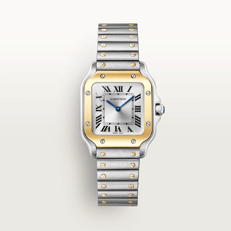 Cartier Panthère W2SA0033 2026