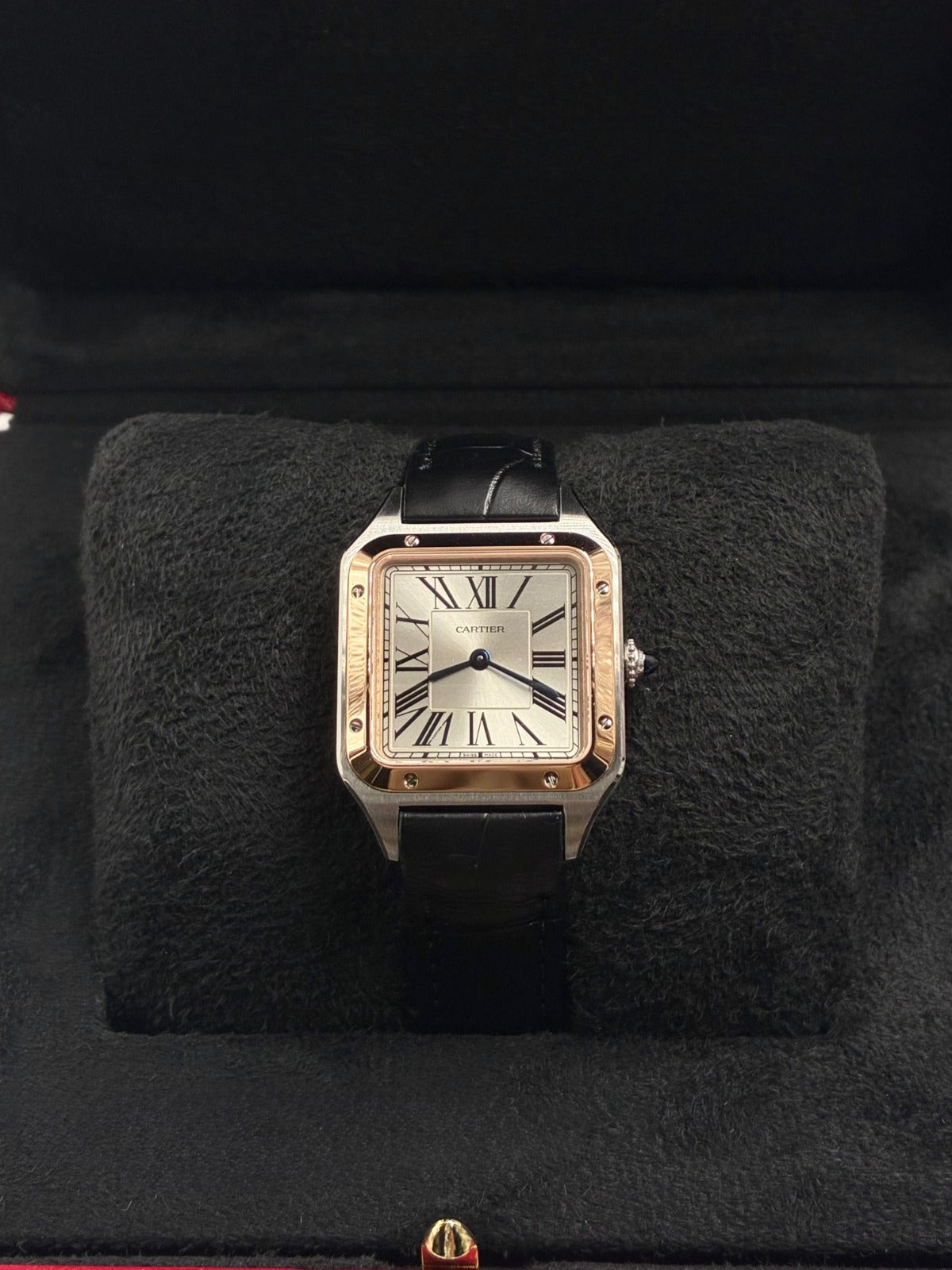 Cartier  Santos W2SA0038