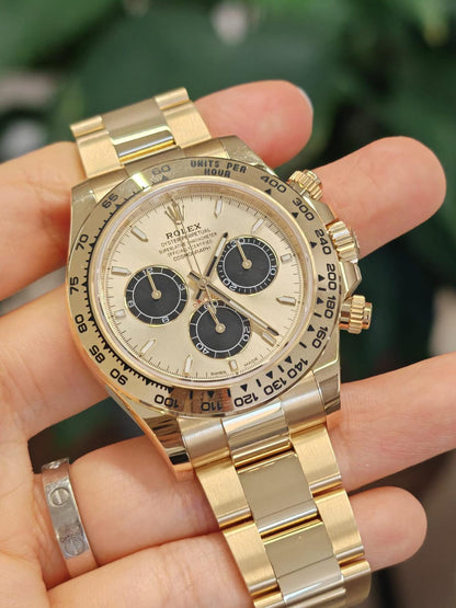 Rolex Cosmograph Daytona 126508 Golden and bright black