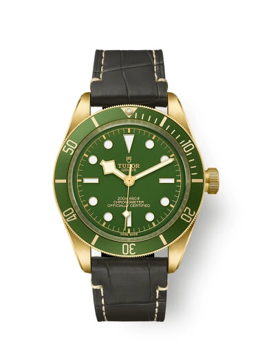 Tudor Black Bay 79018V-0001 Green 2025