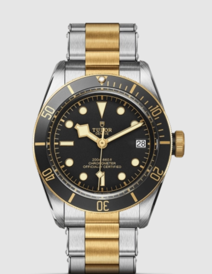 Tudor Black Bay S&g M79733N-0008 2026
