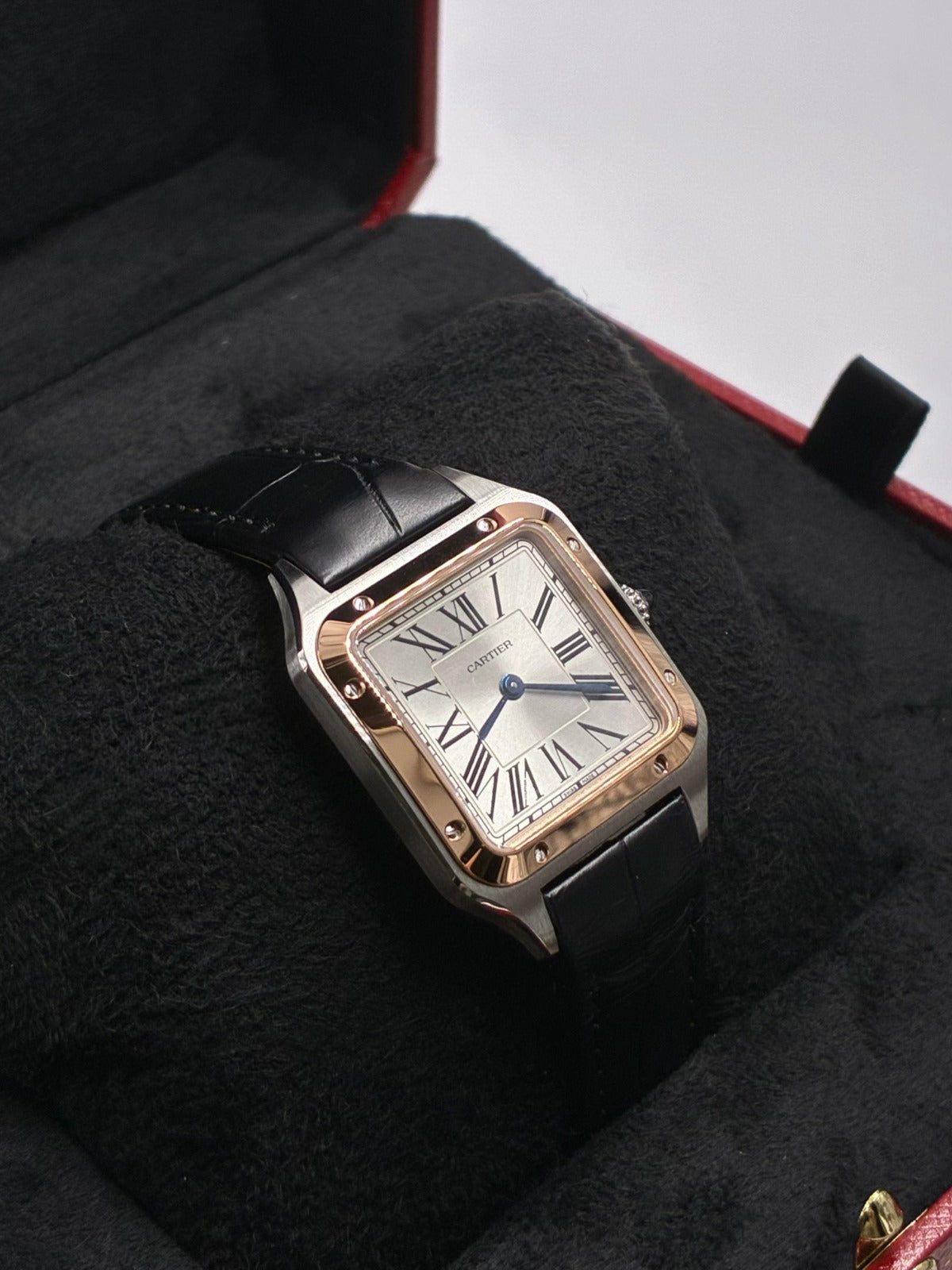 Cartier  Santos W2SA0038