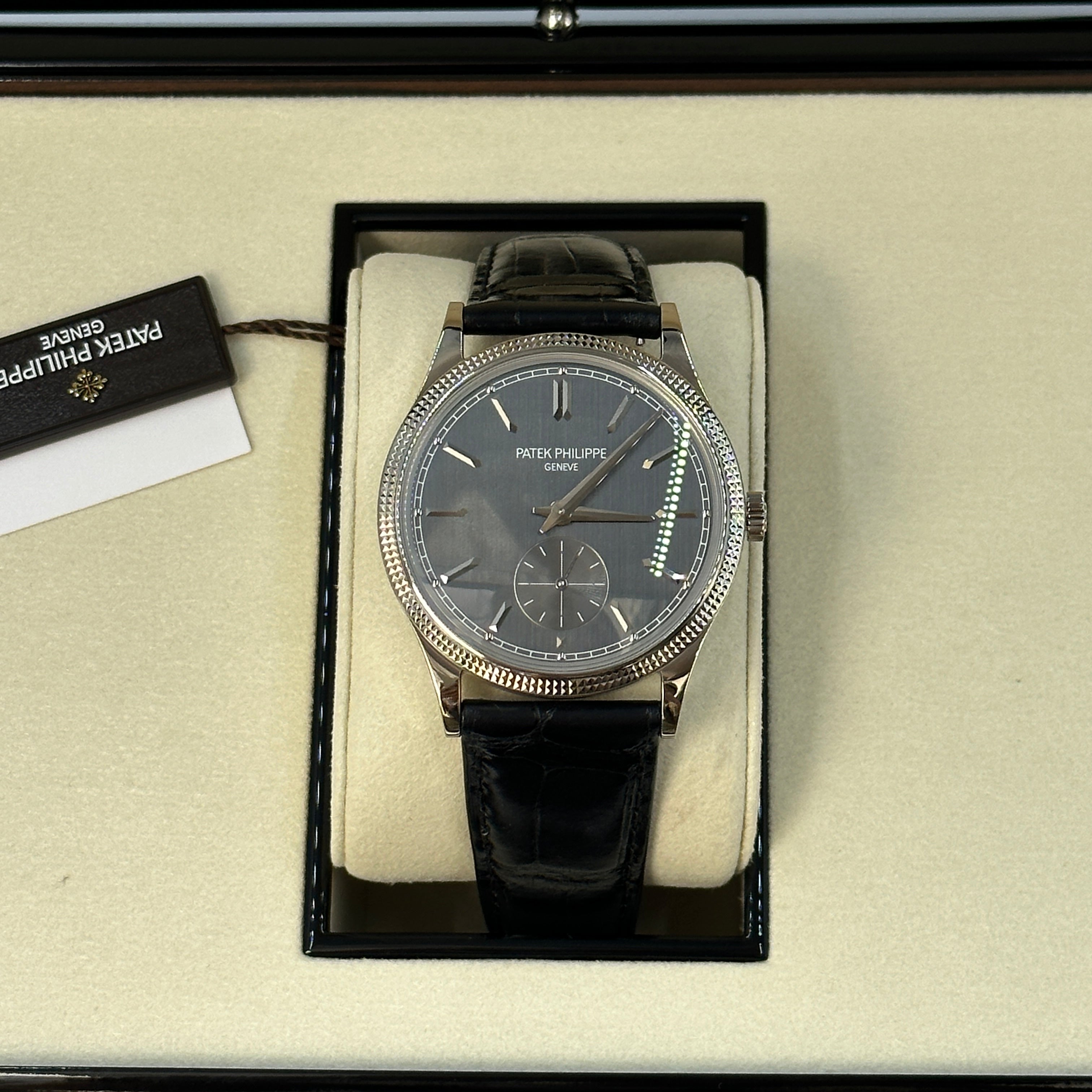 Patek Philippe Calatrava 6119G-001 Gray 2025