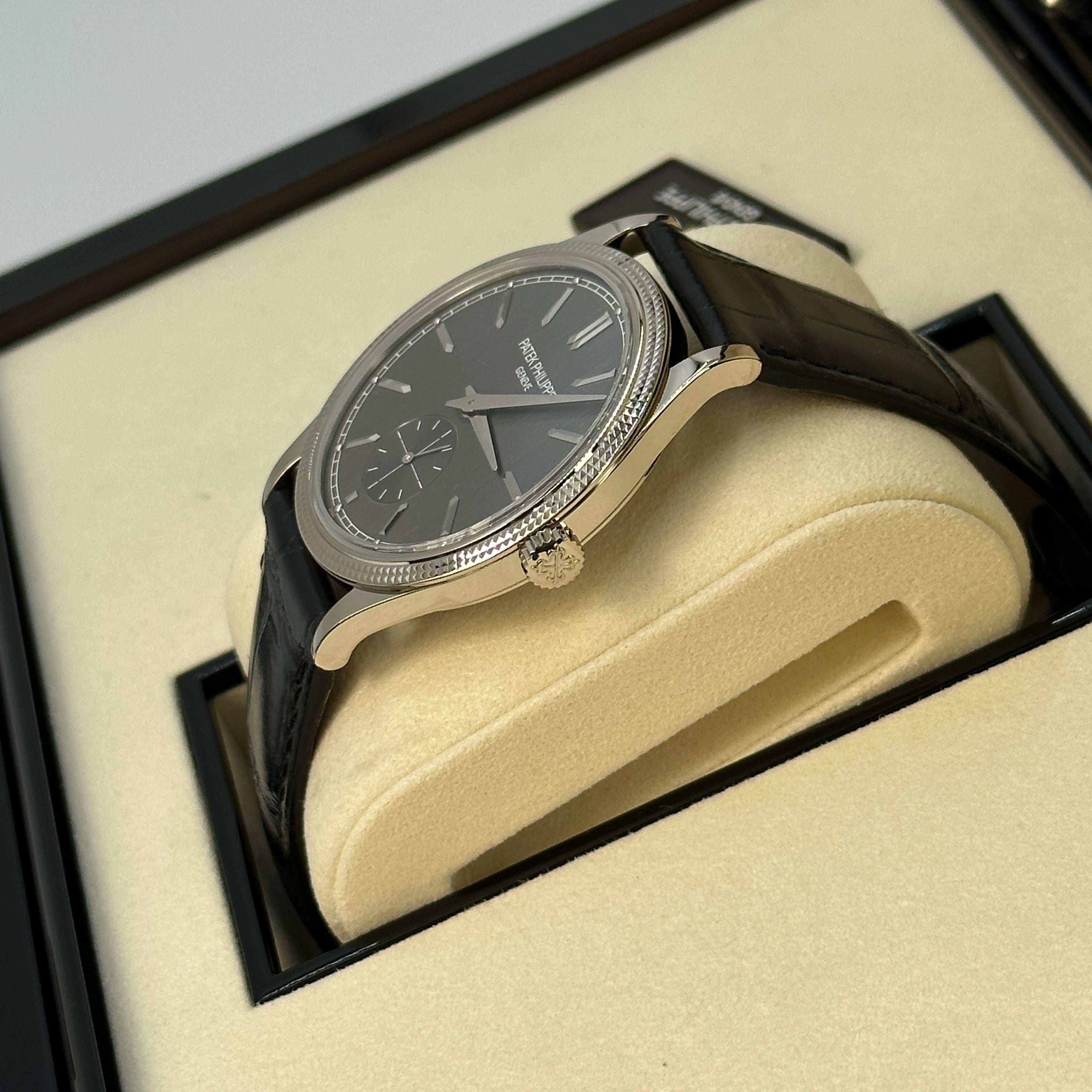 Patek Philippe Calatrava 6119G-001 Gray 2025