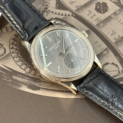 Patek Philippe Calatrava 6119G-001 Gray 2025