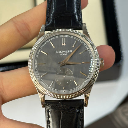 Patek Philippe Calatrava 6119G-001 Gray 2025