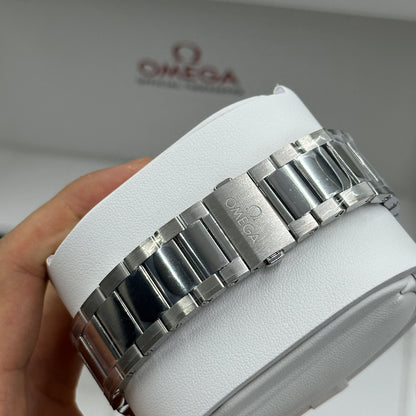Omega Seamaster Aqua Terra 522.10.41.21.04.001  2026