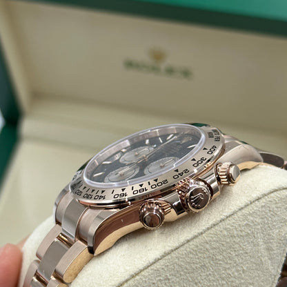 Rolex Cosmograph Daytona 126505 Bright black and Sundust