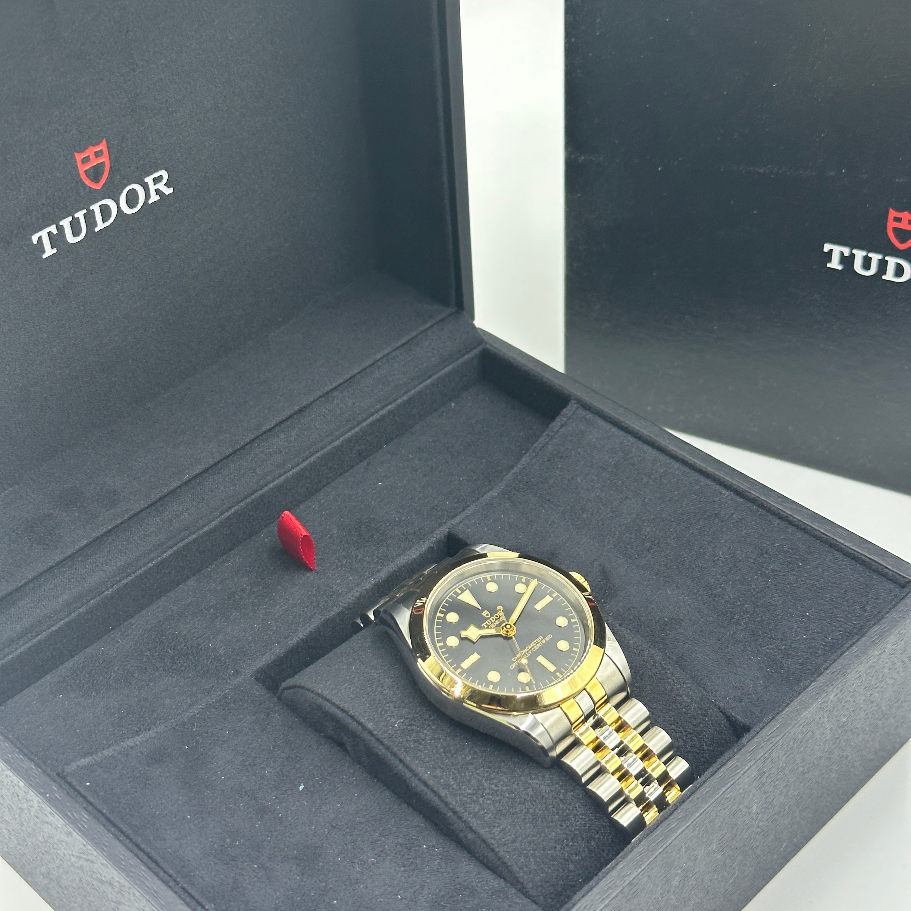 Tudor Black Bay 39 S&g M79663-0001