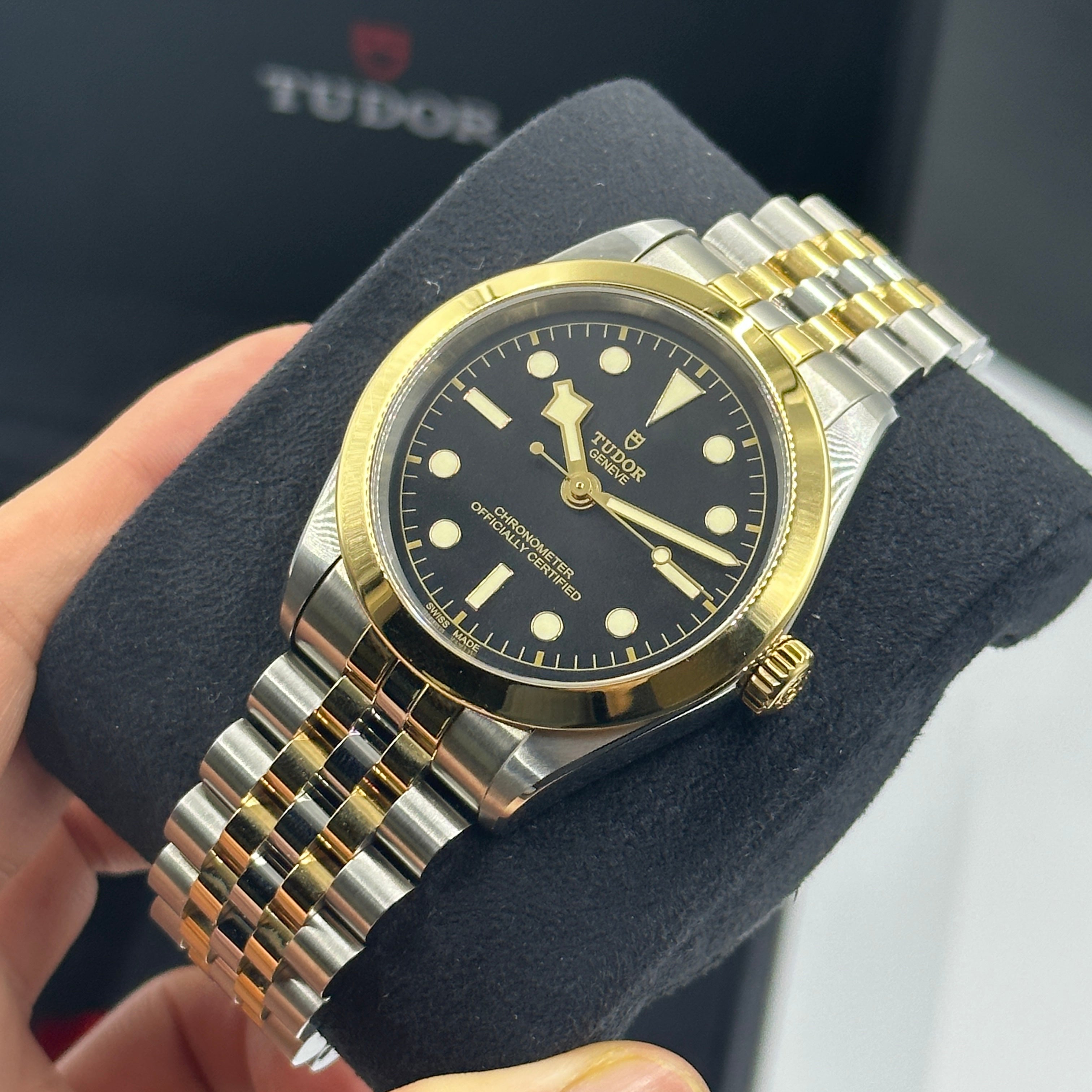 Tudor Black Bay 39 79663-0001 Black 2026