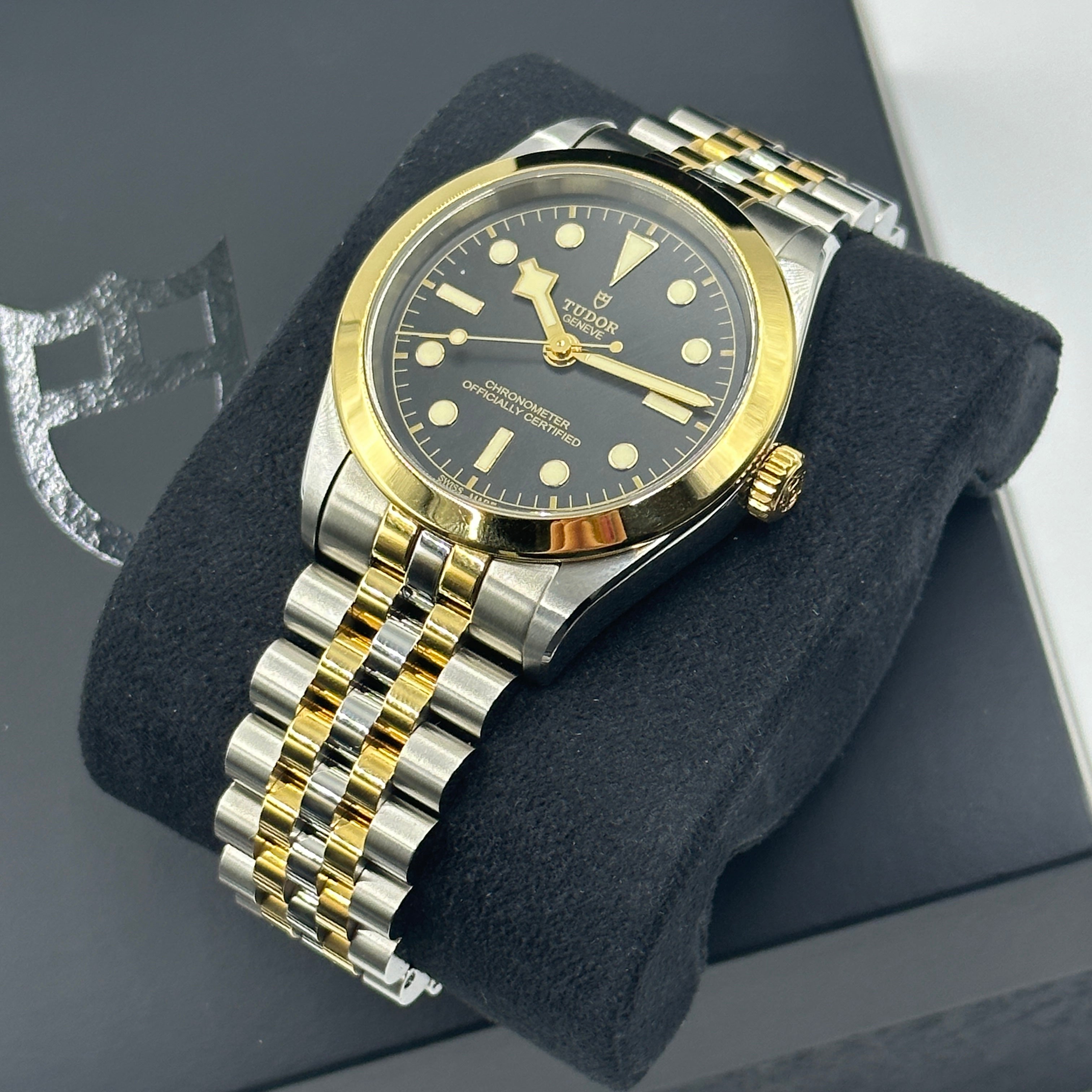 Tudor Black Bay 39 S&g M79663-0001