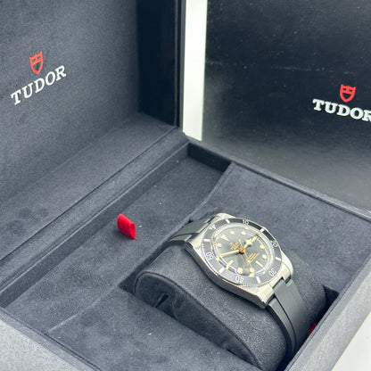 Tudor Black Bay 54 m79000n-0002 2026