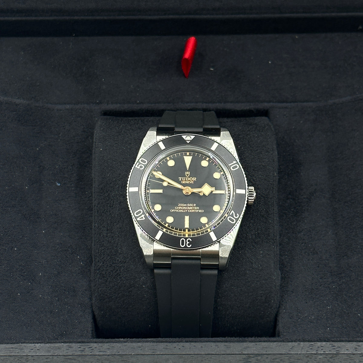 Tudor Black Bay 54 m79000n-0002 2026