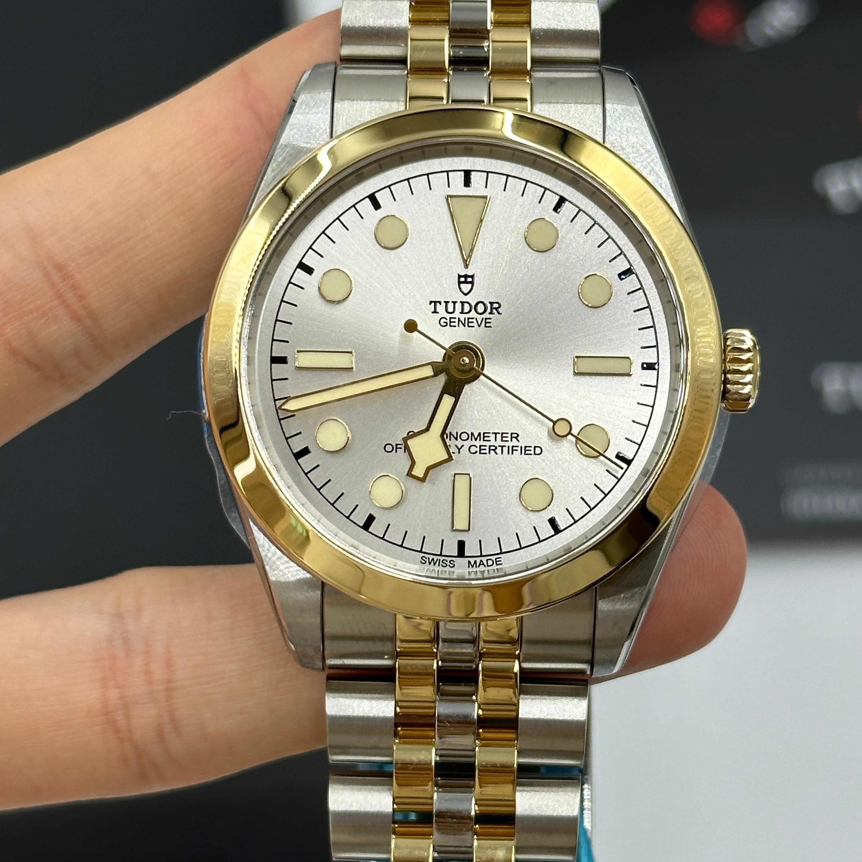 Tudor Black Bay 36 M79643-0002 SILVER