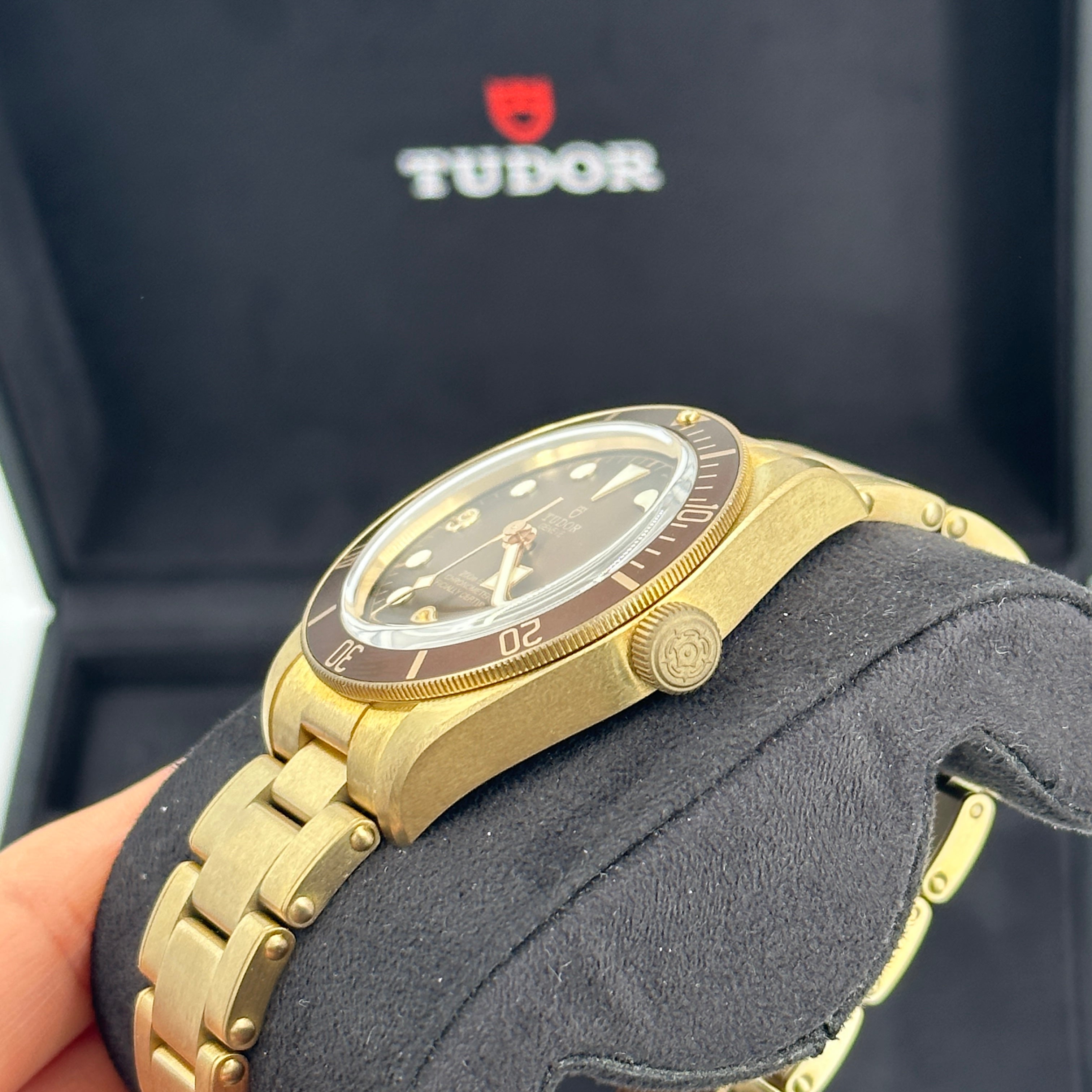Tudor Black Bay 79012M-0001 Bronze