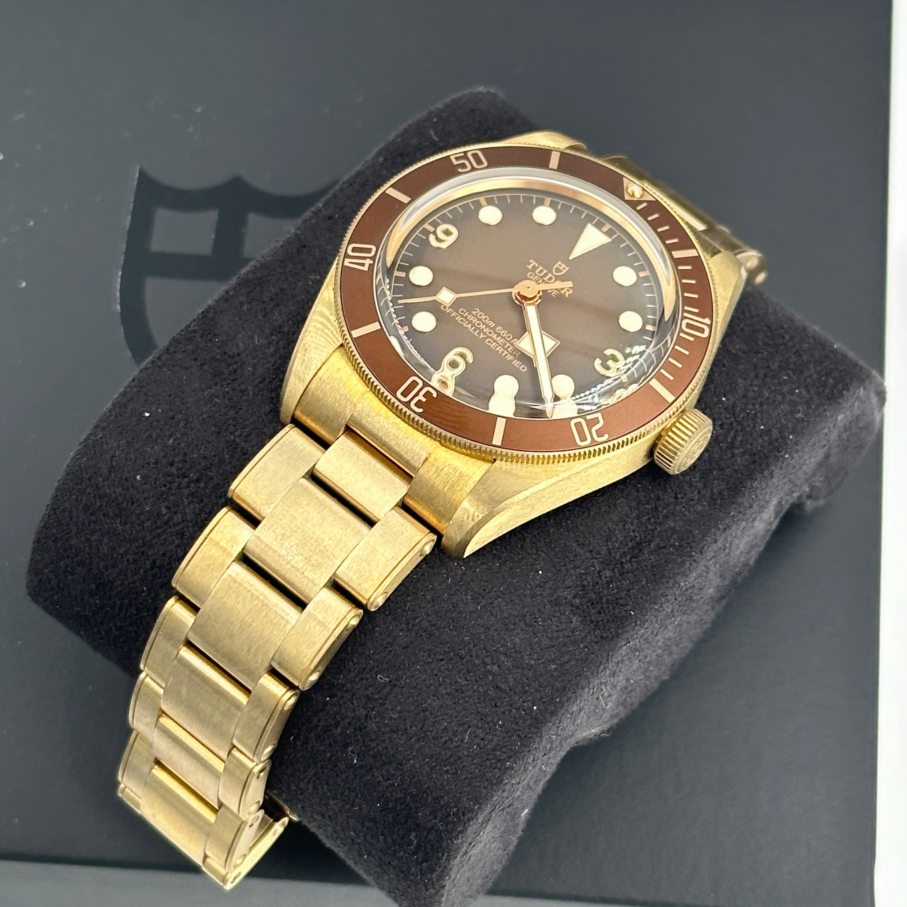 Tudor Black Bay 79012M-0001 Bronze