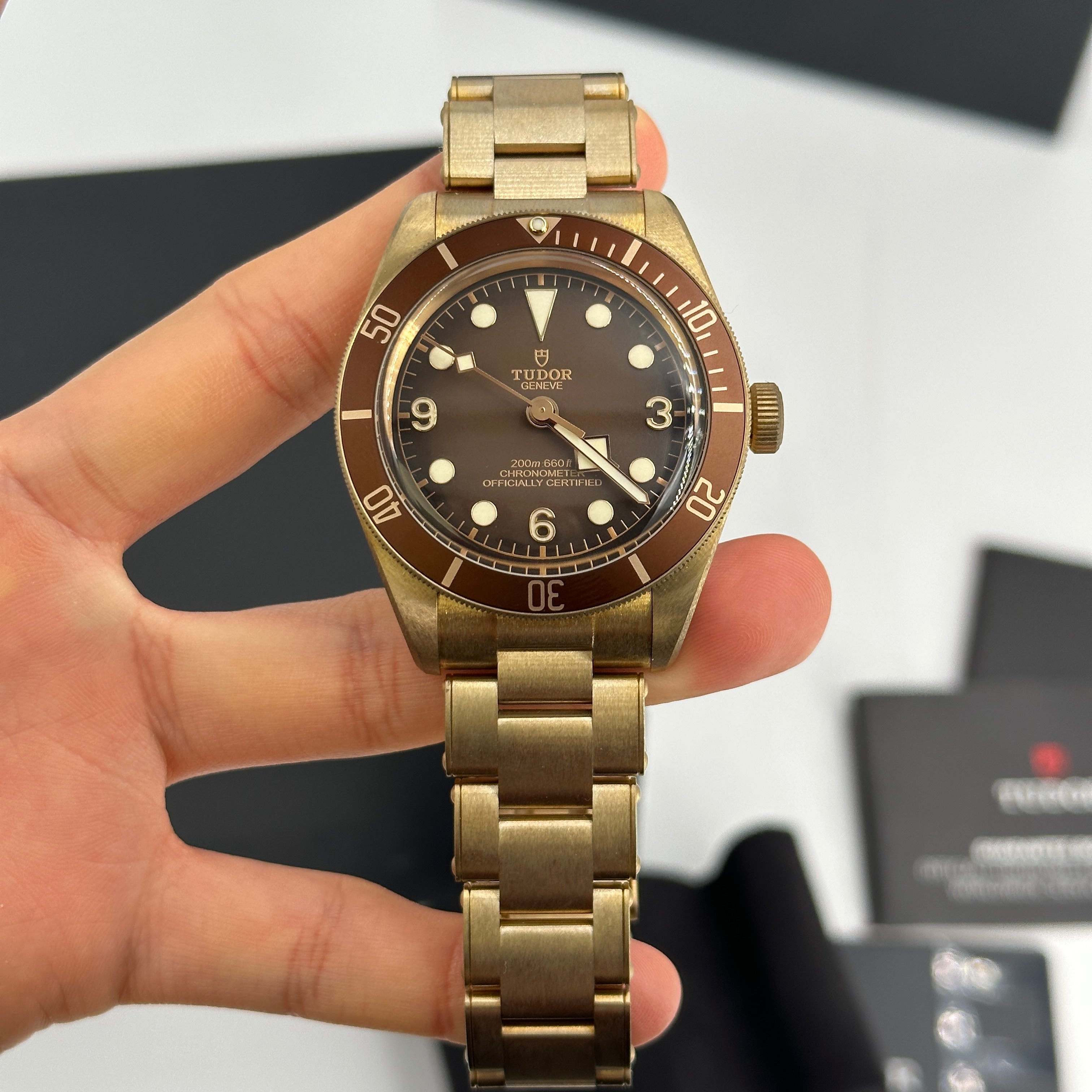 Tudor Black Bay 79012M-0001 Bronze