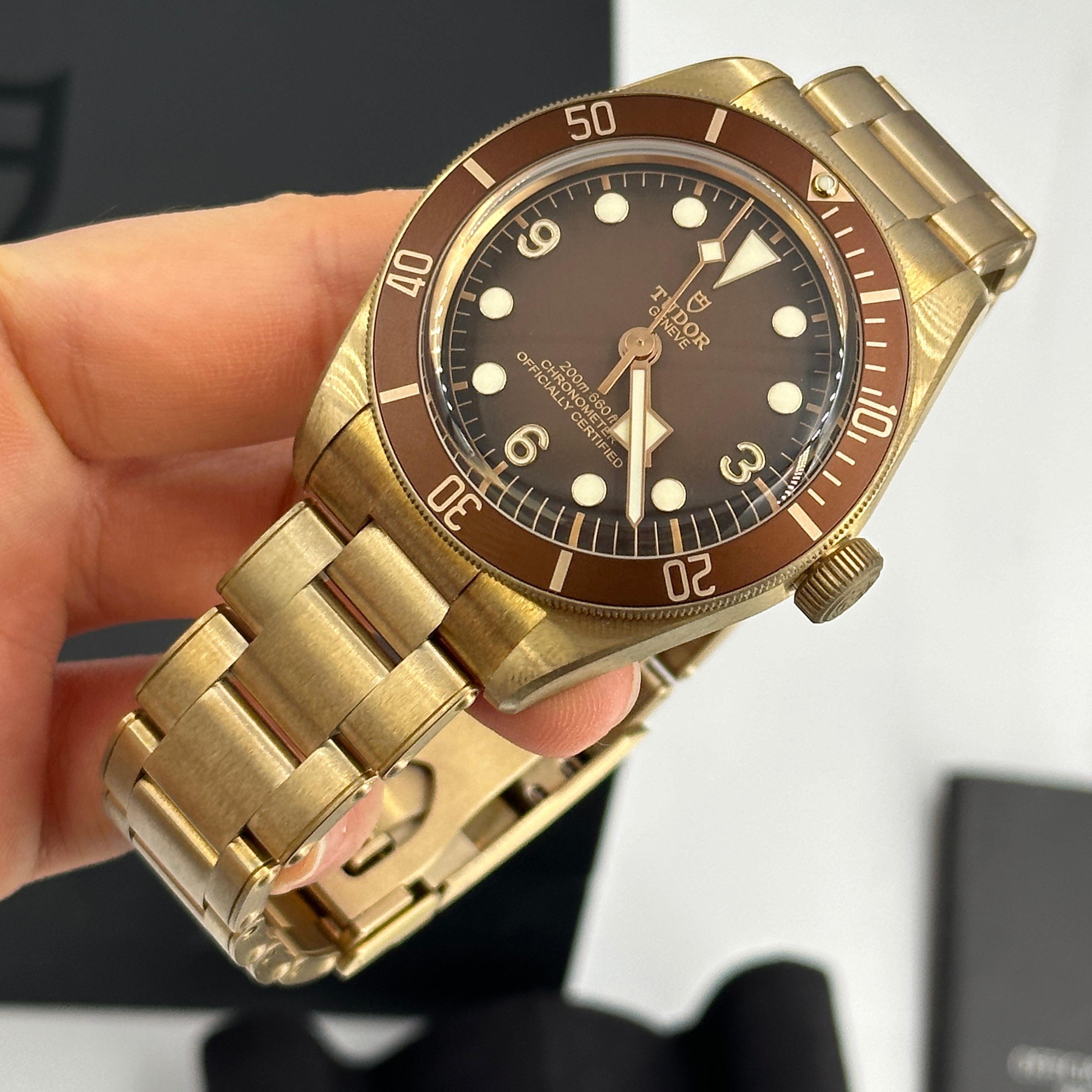 Tudor Black Bay 79012M-0001 Bronze