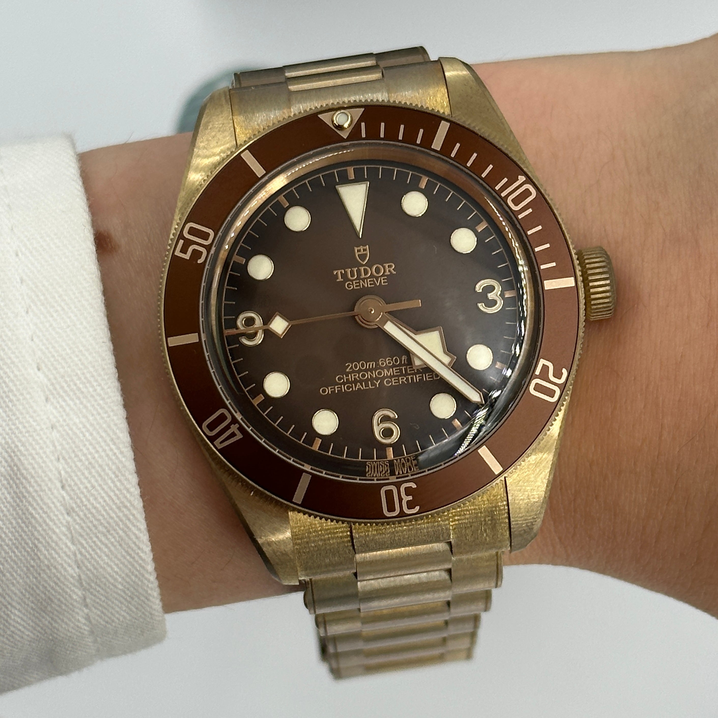 Tudor Black Bay 79012M-0001 Bronze
